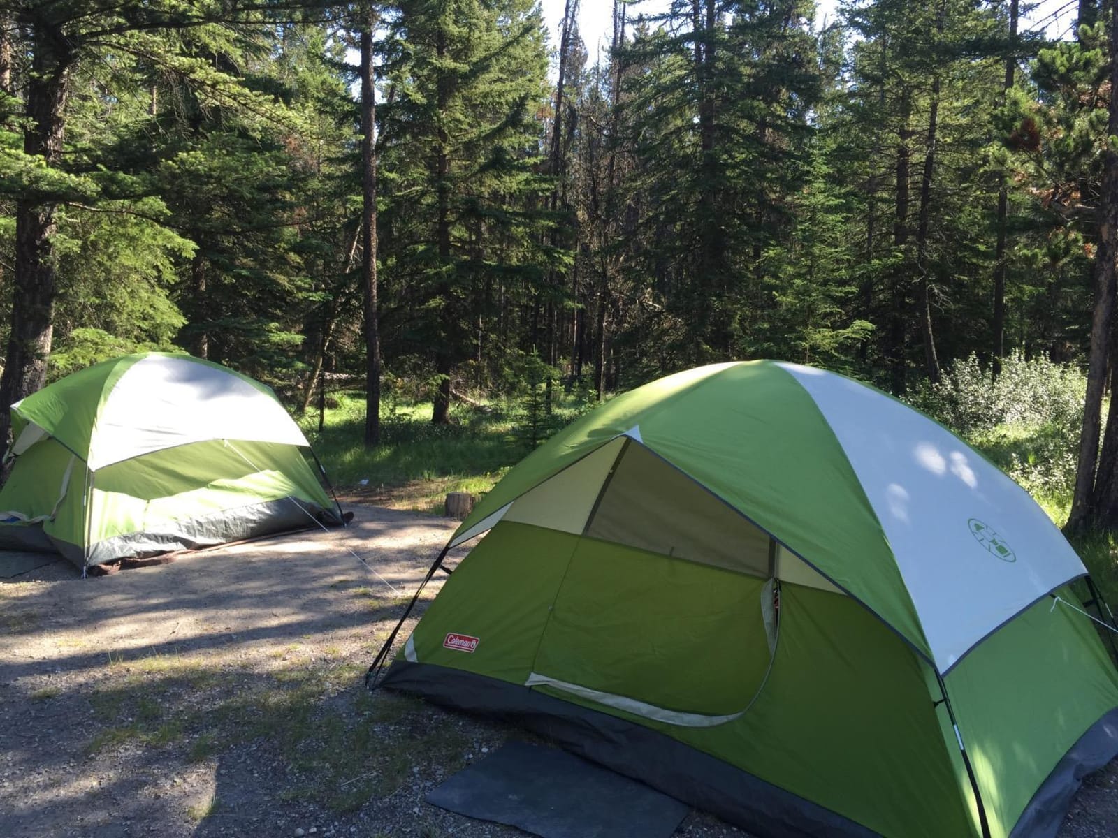 Coleman Sundome Camping Tent with Rainfly, 2/3/4/6 Person Tent Sets Up in 10 Mins, Weatherproof Shelter for Camping, Festivals, Backyard, Sleepovers, & More customer photo 1