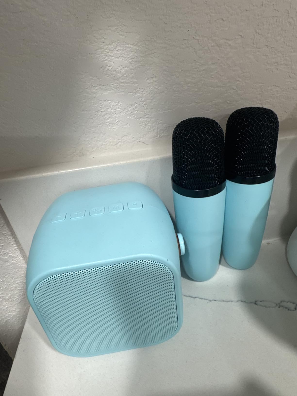 Mini Karaoke Machine, Bluetooth Karaoke Speaker 2 Wireless Microphones customer photo 2