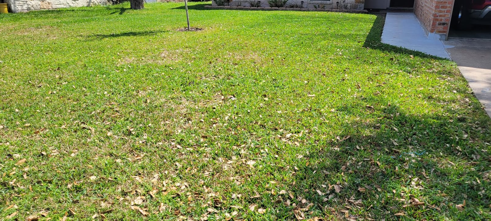 eufy Robot Lawn Mower E15, Auto Mapping, Pure Vision Navigation customer photo 2