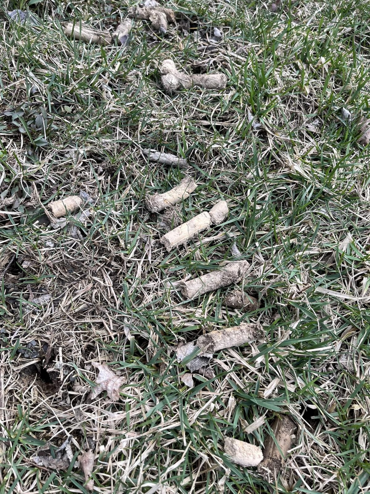 Lawn Aerator Tool, Core Aerator Lawn Tool with Alloy Steel Material, Sturdy Grass Aerator for Lawn Health Soil Yard Aerator customer photo 1