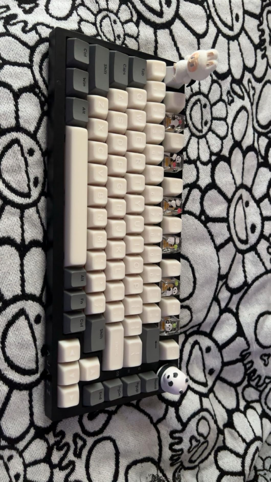 Ajazz AK820 75% Wired Mechanical Gaming Keyboard, Gasket Mounted Hot Swappable Custom Keyboard with Volume Knob, 5-Layer Sound Dampening Padding, PBT Keycaps, 82 Keys, Black customer photo 1