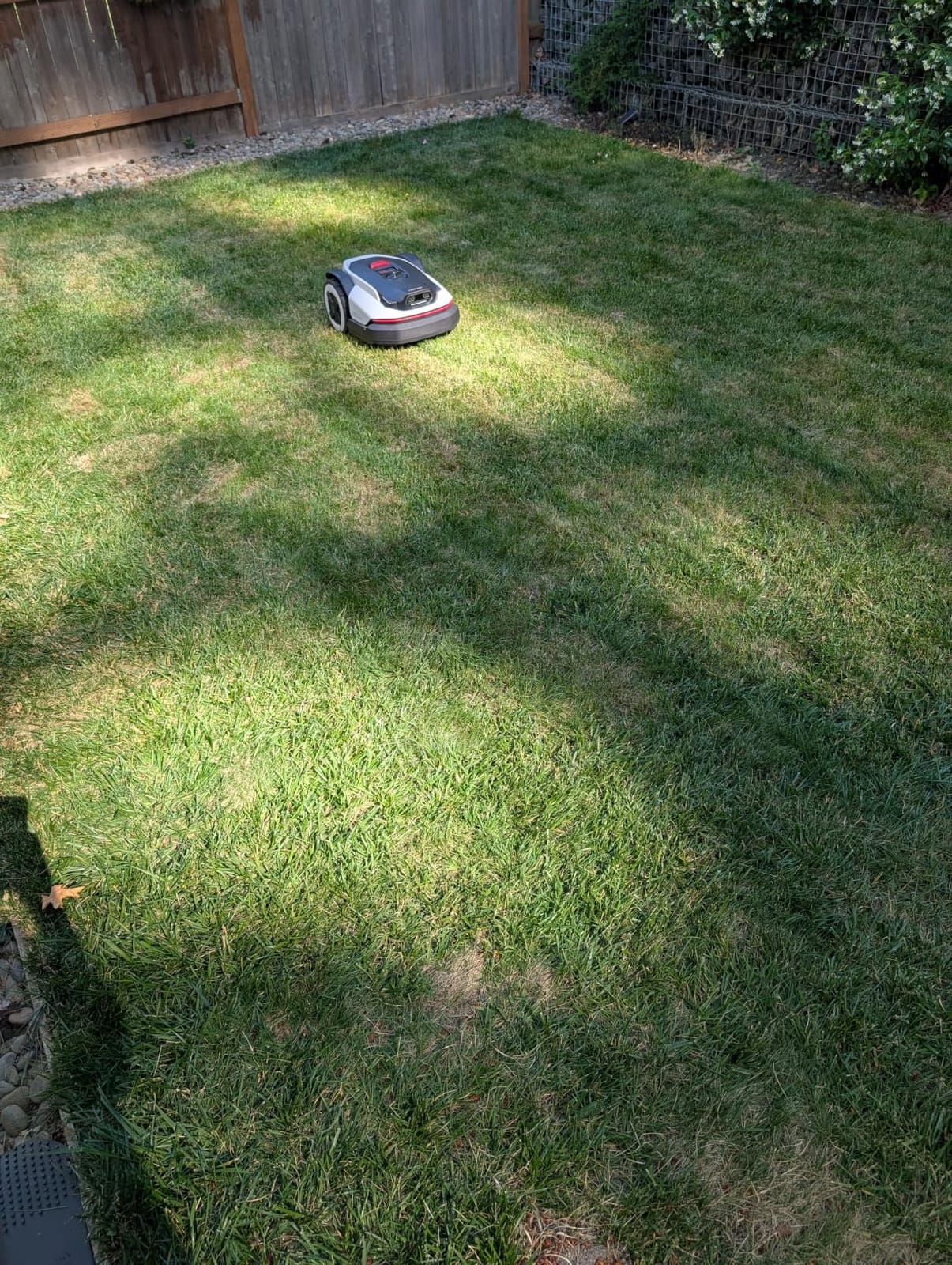 Roborock RockNeo Q110H Robot Lawn Mower, Wire-Free Robotic Lawn Mower with Full-Band RTK + VSLAM Navigation, Auto Mapping, AI Vision Obstacle Avoidance, App Control, 45% Slope, Covers Up to 1/4 Acre customer photo 1
