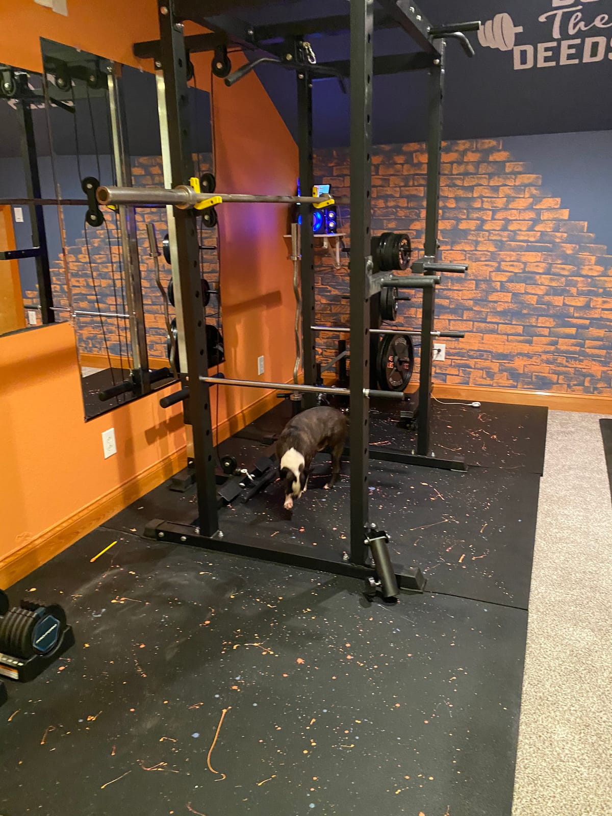 Mikolo M4 2.0 Lite Smith Machine, 2200LBS Power Cage with LAT Pulldown & Cable Crossover, All-in-One Home Gym Squat Rack with Aluminum Pulley System for Full-Body Workouts customer photo 2