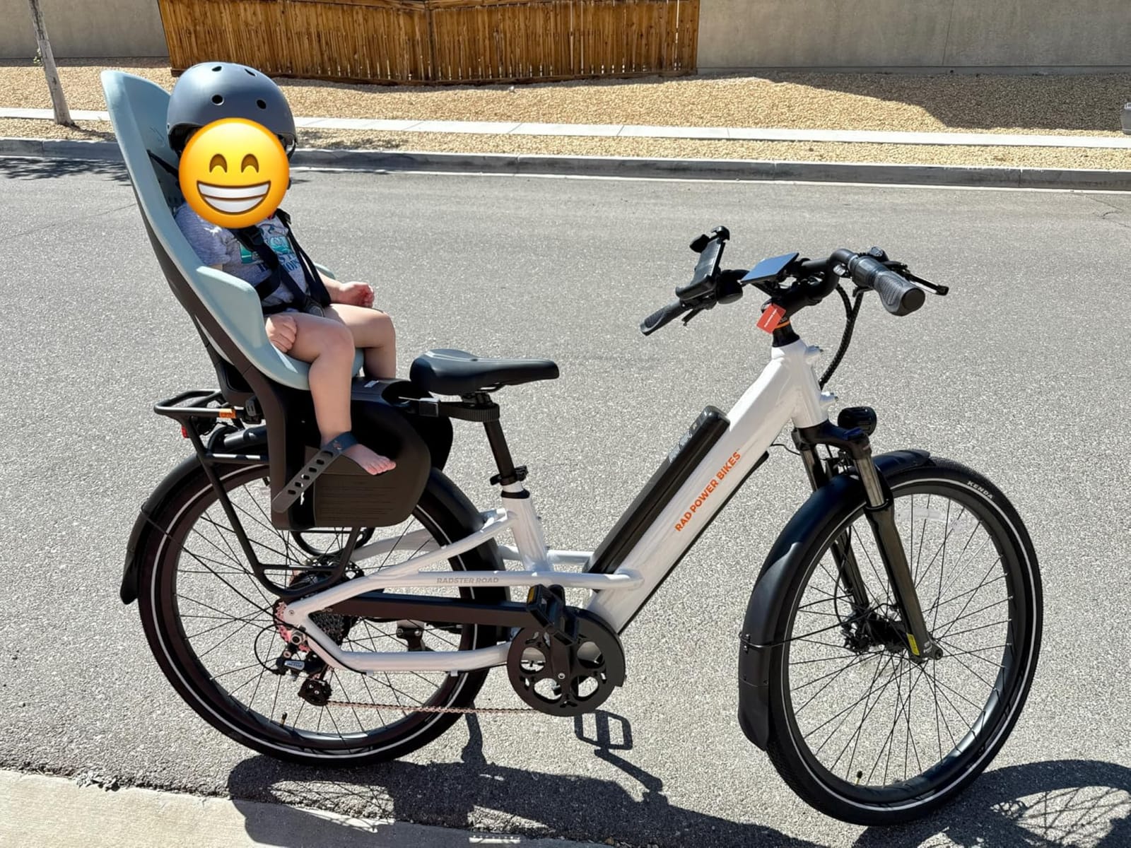 Thule Yepp 2 Mounted Child Bike seat, Adjustable footrests, 5-Point Harness and Easy to Mount Design customer photo 2