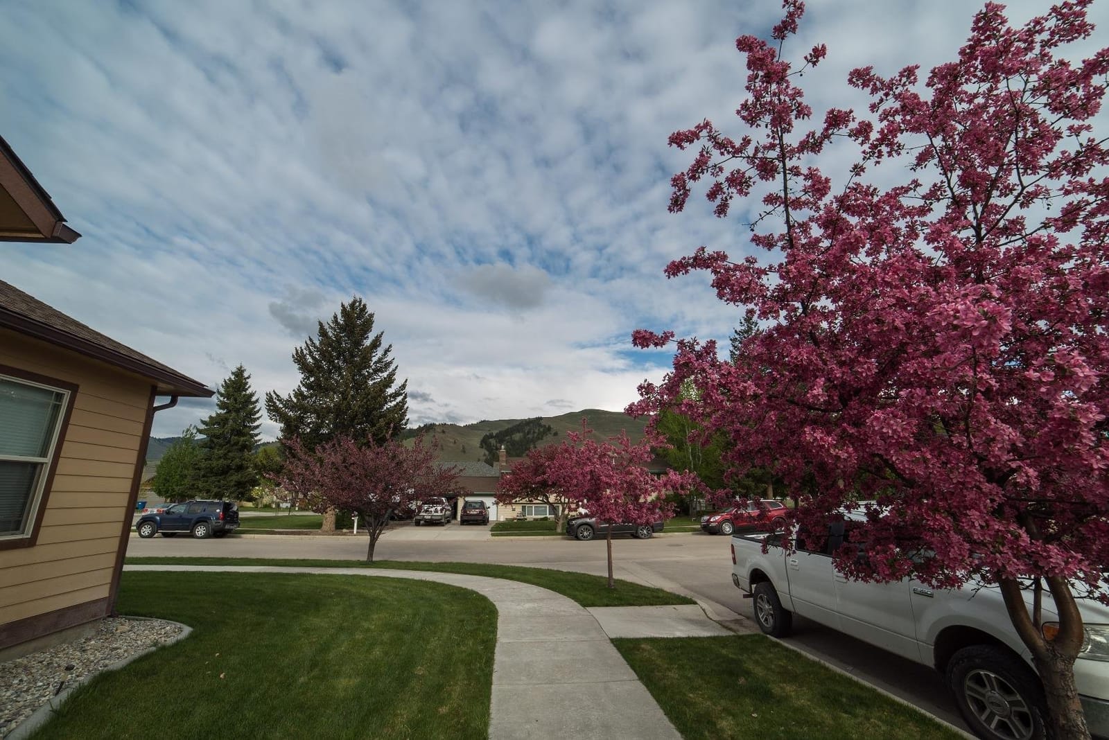 Rokinon FE14M-E 14mm F2.8 Ultra Wide Lens for Sony E-mount and Fixed Lens for Other Cameras customer photo 1