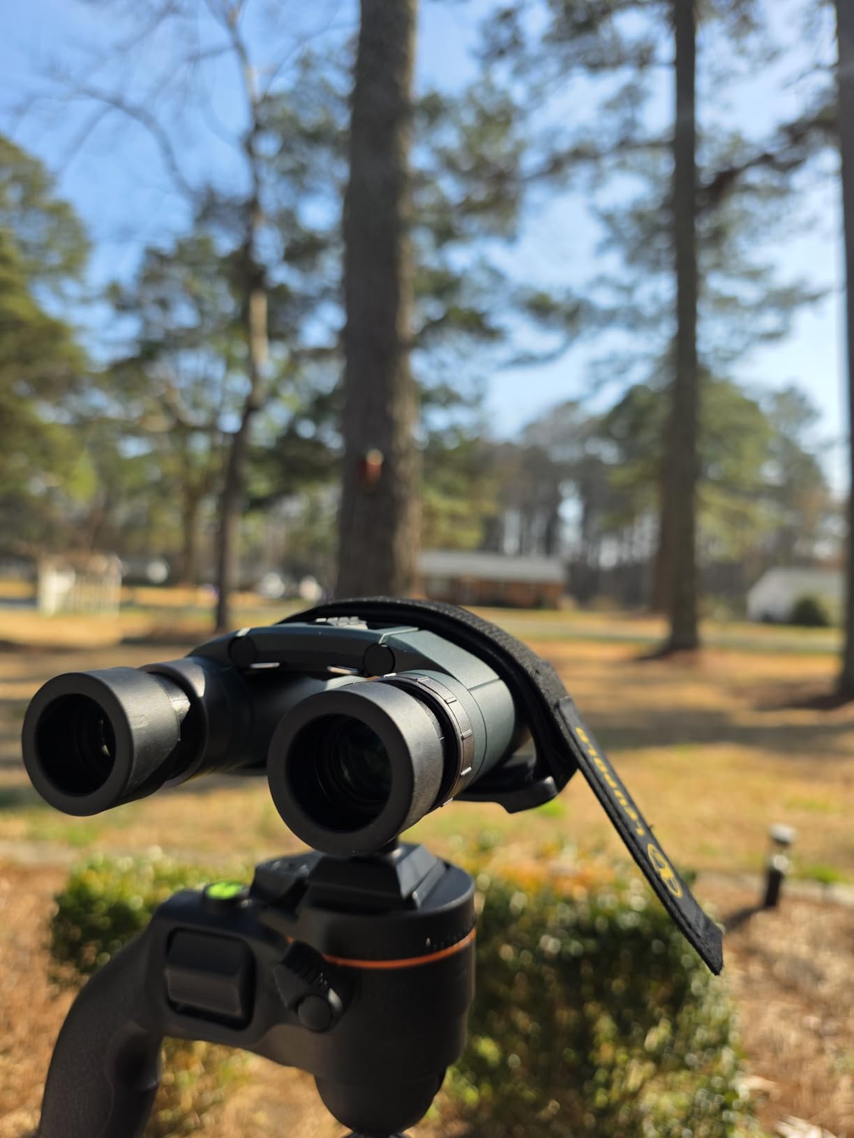 Pentax AD 8x25 WP Binoculars suitable for outdoor live event travel or even mountaineering,Green customer photo 1