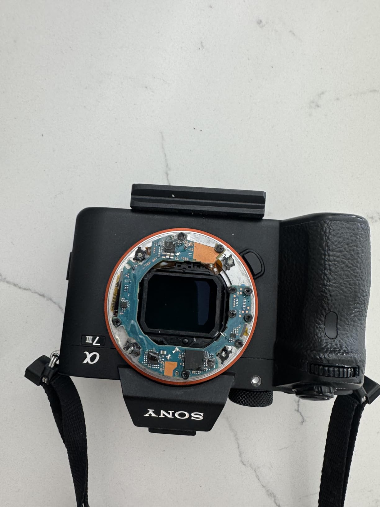 Sony FE 90mm F2.8 Macro G OSS Full-Frame Lens customer photo 2
