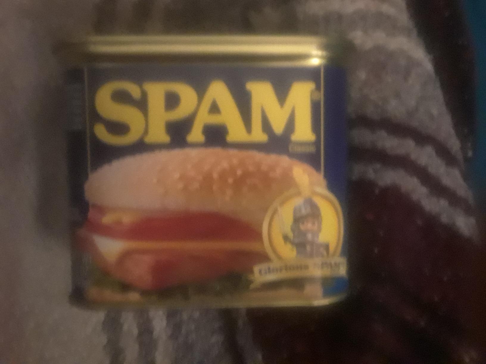 BigMouth Spam Diversion Can Safe, Hidden Stash Container for Valuables, Realistic Weighted Secret Compartment customer photo 1