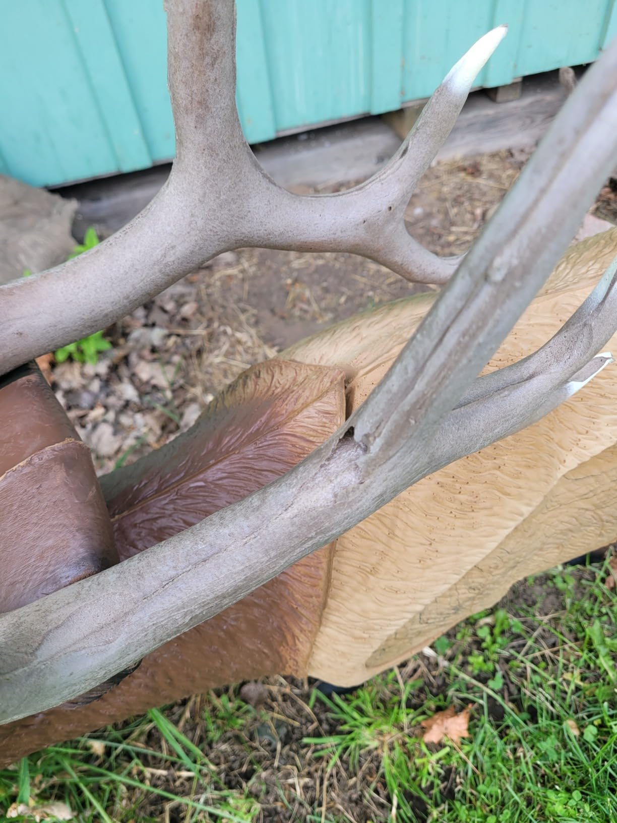Rinehart 1/3 Scale Woodland Elk Target customer photo 1
