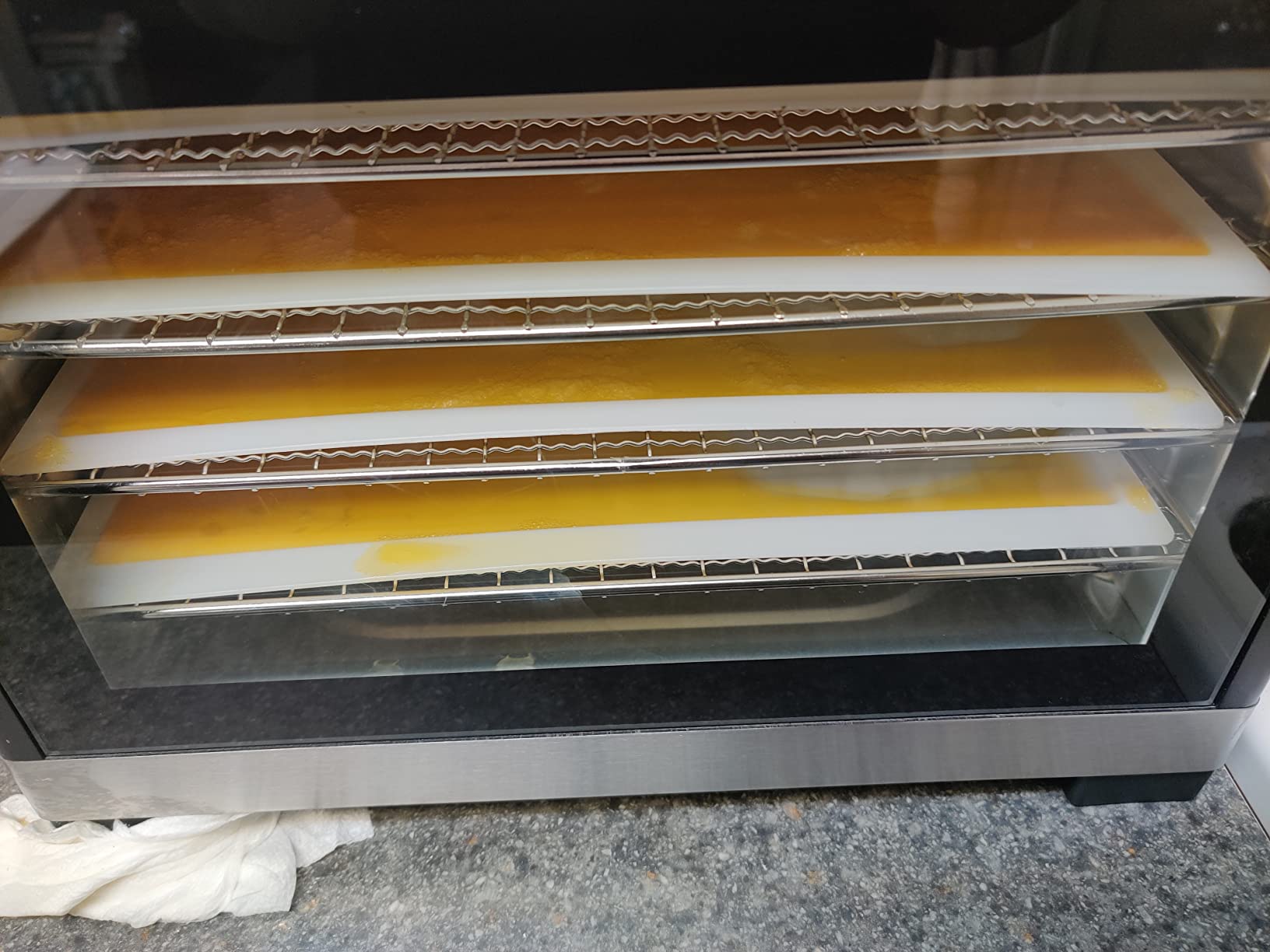 Cosori Food Dehydrator Accessories, Fruit Leather Roll Sheets for CP267-FD customer photo 1