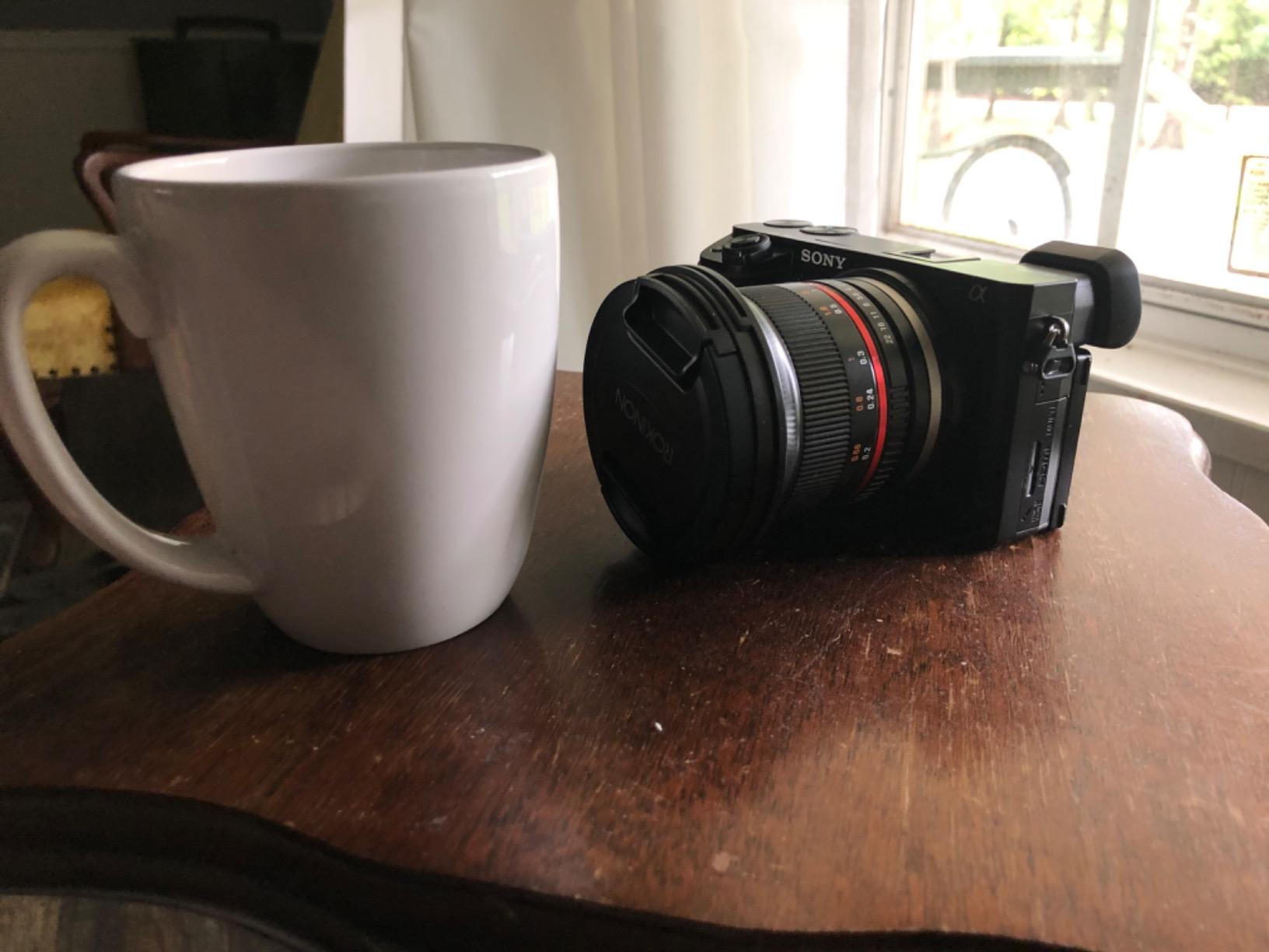 Sony Alpha A6100 Mirrorless Camera, Black customer photo 2