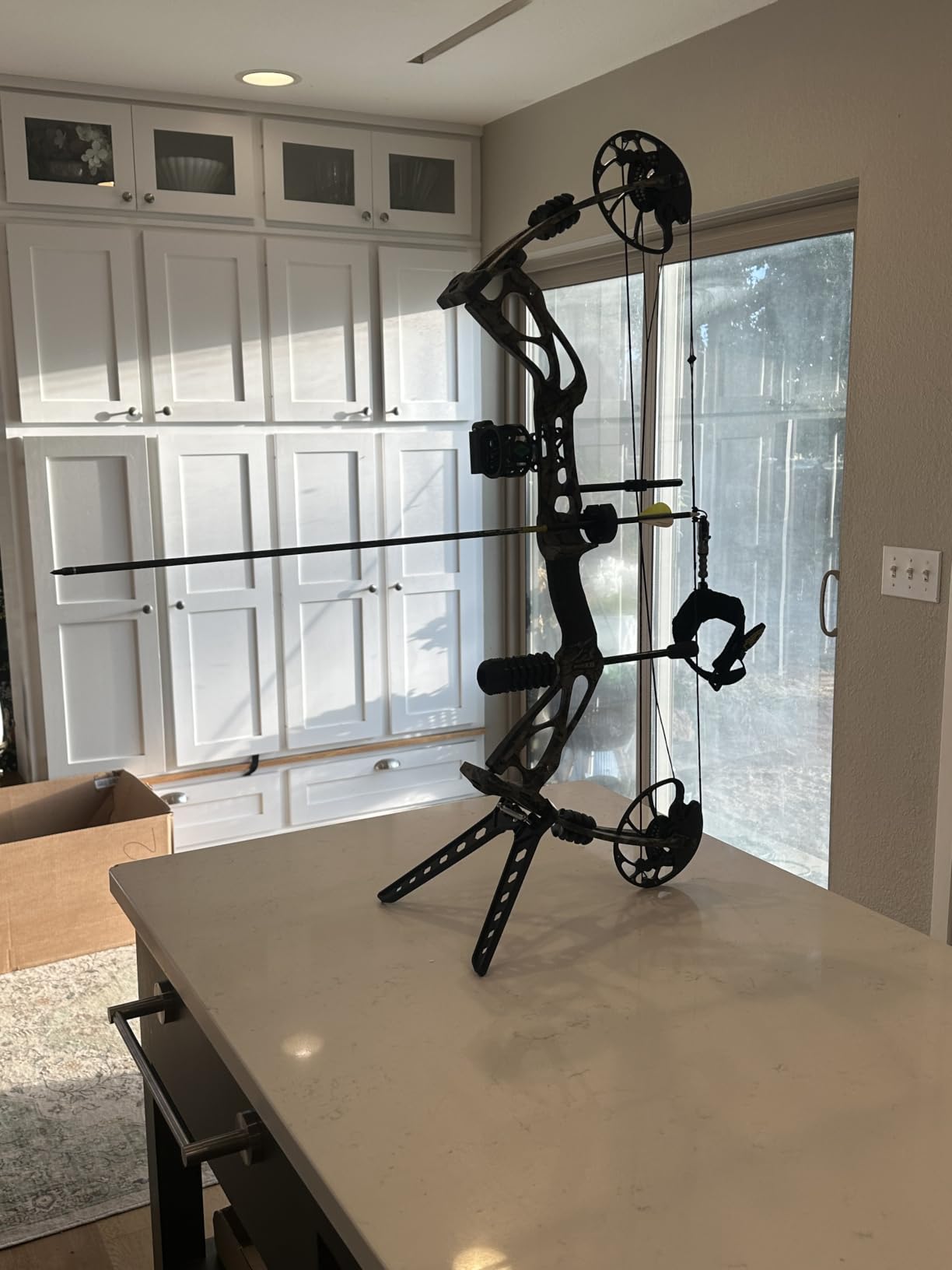 Sanlida Archery Dragon X8 RTH Compound Bow Package for Adults and Teens,18”-31” Draw Length,0-70 Lbs Draw Weight,up to IBO 310 fps,No Bow Press Needed,Limited Life-time Warranty,RH Only customer photo 2