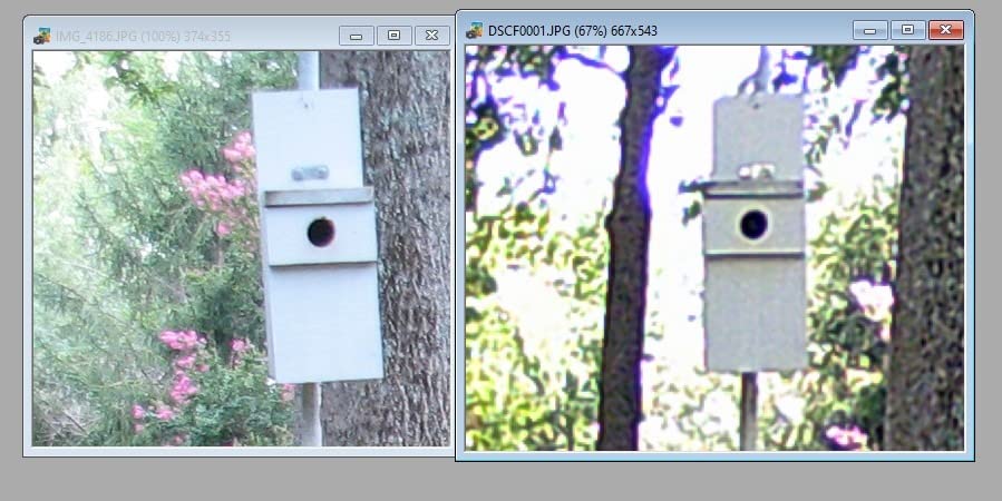 WOSODA Trail Camera 36MP 1920P, Night Vision, IP66 Waterproof Game Camera customer photo 2
