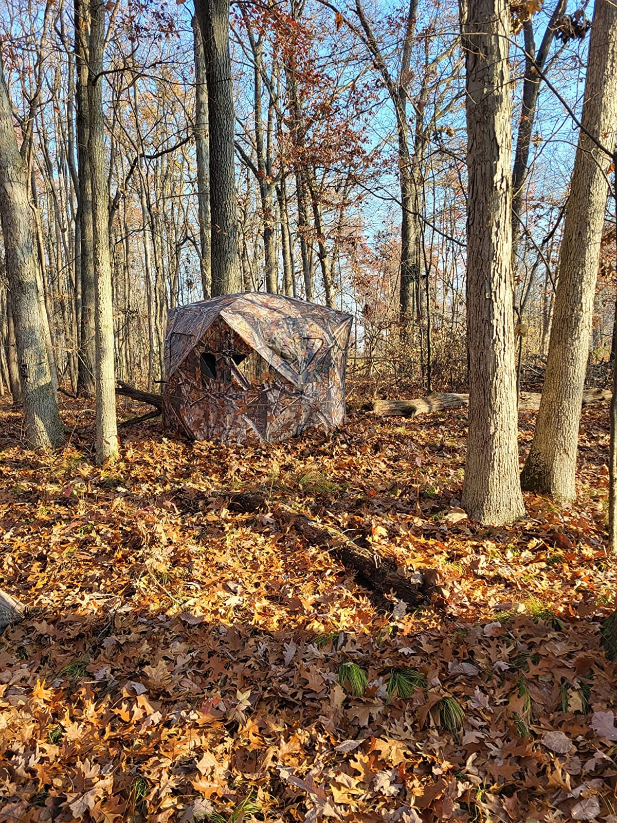 THUNDERBAY 270 Degree See Through Hunting Blind, Portable 2-3 Person Pop Up Ground Hunting Blinds, Durable See Thru Hunting Tent for Deer & Turkey Hunting customer photo 2