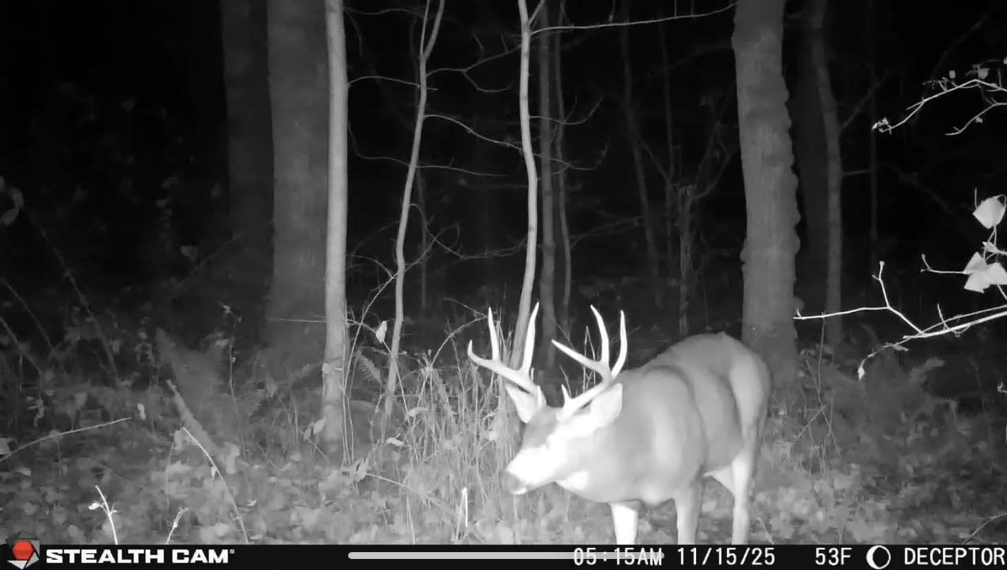 Stealth Cam Deceptor No 80ft IR 40MP 1440P HD Cellular Trail Camera customer photo 1