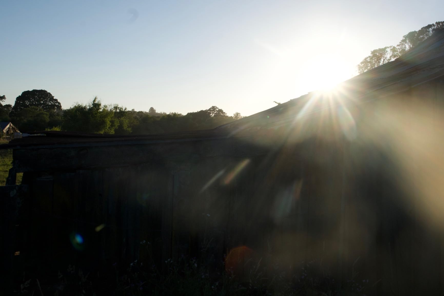 Sony FE 20-70mm f/4 G Lens (Sony E) customer photo 1