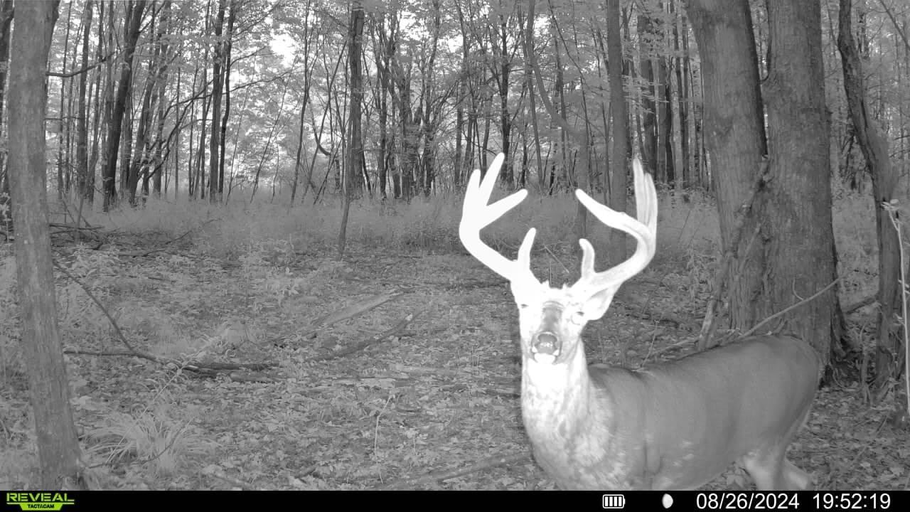 TACTACAM Reveal X Gen 3.0 Cellular Trail Camera - Multi Carrier, HD Photos & Videos, Pre-Installed Antenna, Built-in GPS, Best Battery Life, Low-Glow IR Flash, Fast Trigger Speed + Reveal Solar Panel customer photo 2