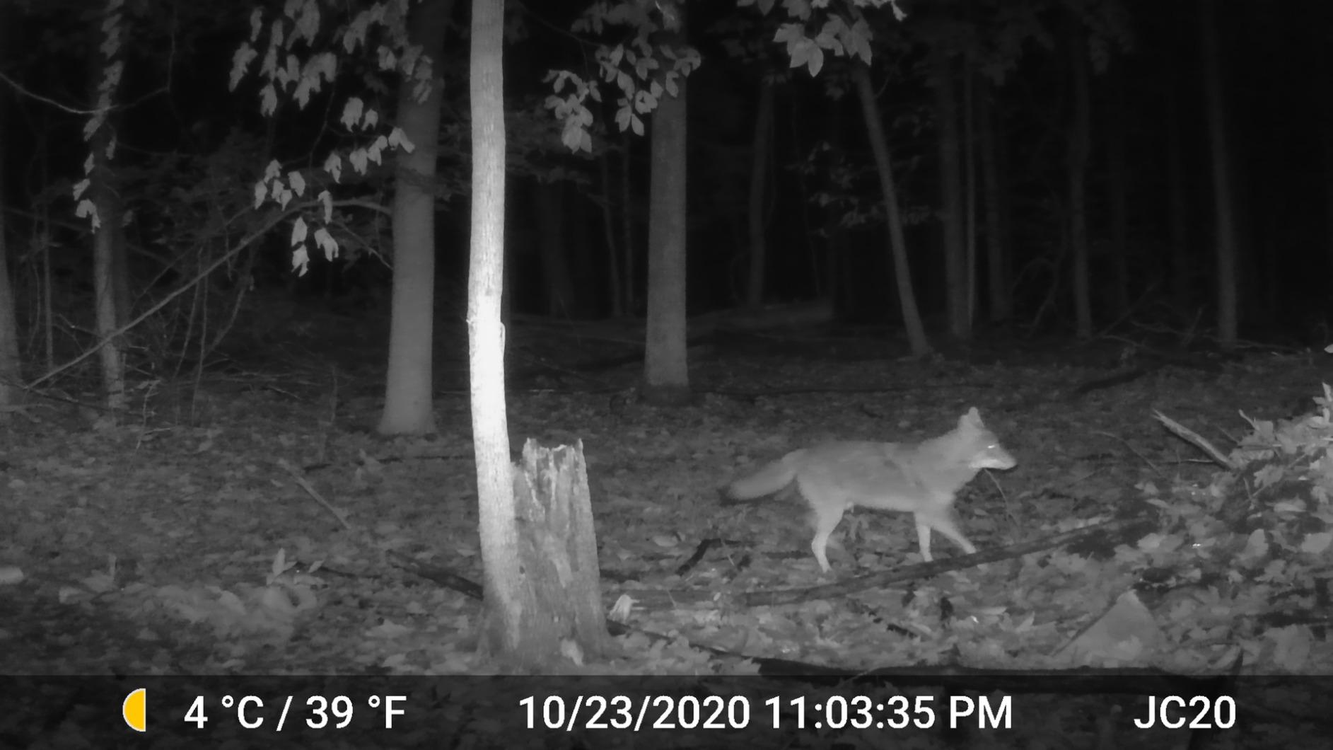 GardePro A3S 2-Pack Non-Cellular Trail Camera, 1296P HD Video with Sound customer photo 1