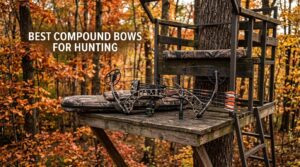 best compound bows for hunting